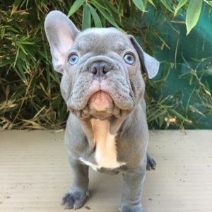 Meet your Posher, Reina